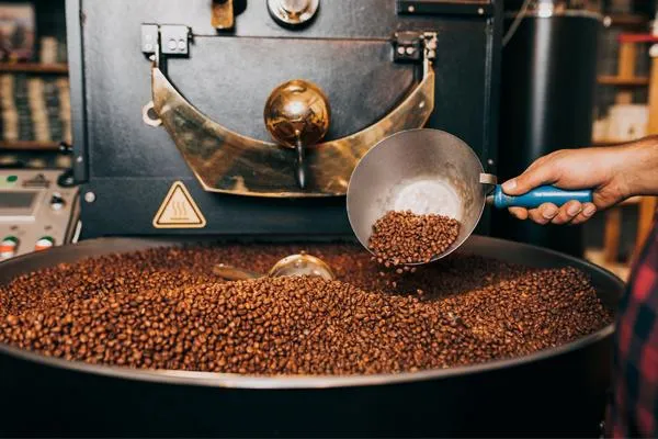 Son La Reserve — Medium roast Vietnamese coffee